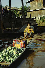 On the floating market in Ywama