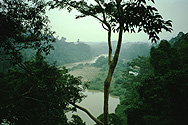 View of Kuala Tahan in Taman Negara national park