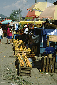 At the market in San Cristóbal de las Casas