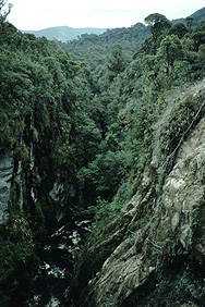 Gorge between San Agustín and Popayán